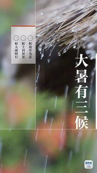 热热热热在线视频,揭秘热门内容背后的魅力与热度