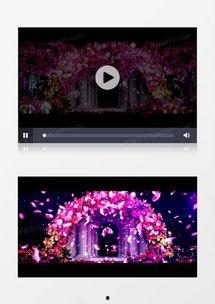 飘花在线视频观看